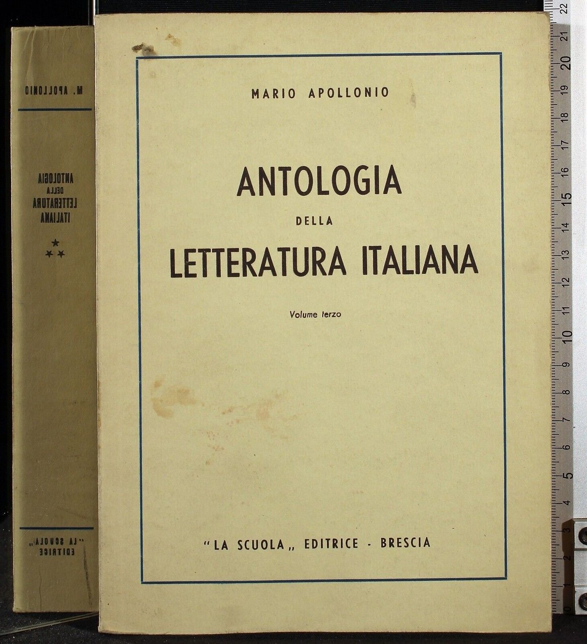 Anntologia della letteratura italiana. Vol 3 | Immagine principale