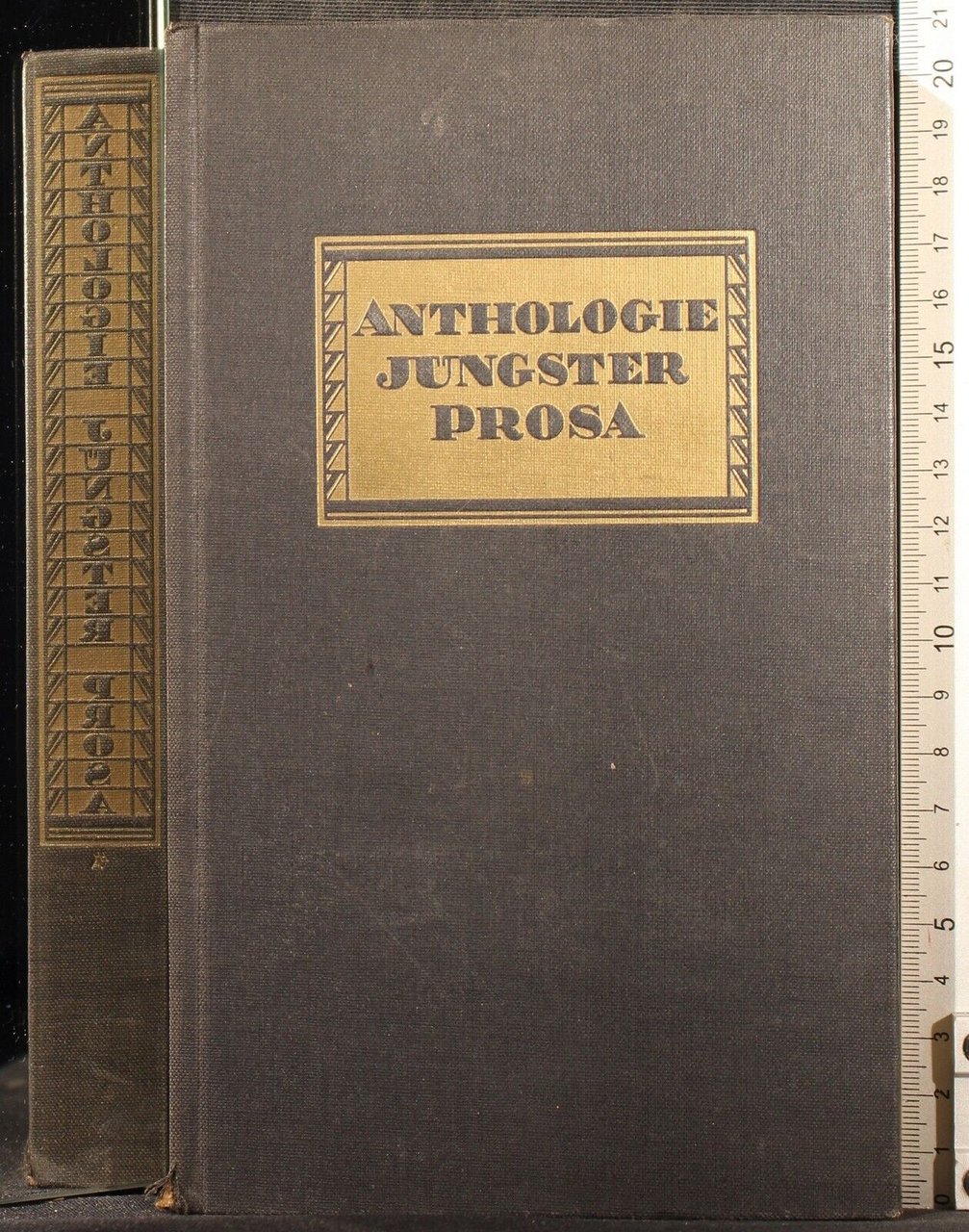 Anthologie Jungster Prosa | Immagine principale