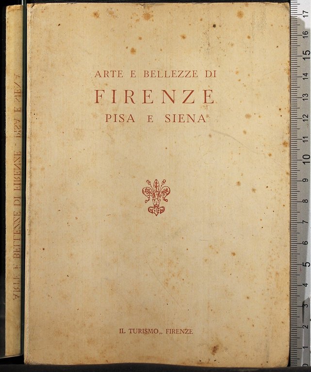 Arte e bellezze di Firenze, Pisa e Siena | Immagine Gallery 2