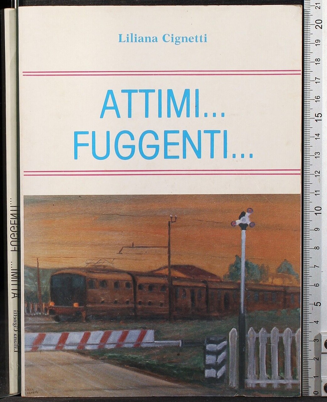Attimi… fuggenti. | Immagine principale