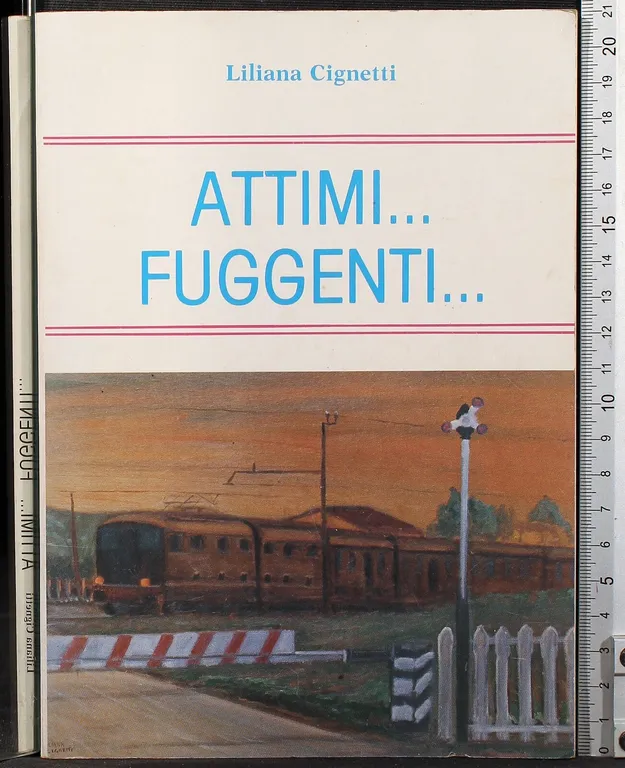 Attimi… fuggenti. | Immagine Gallery 2