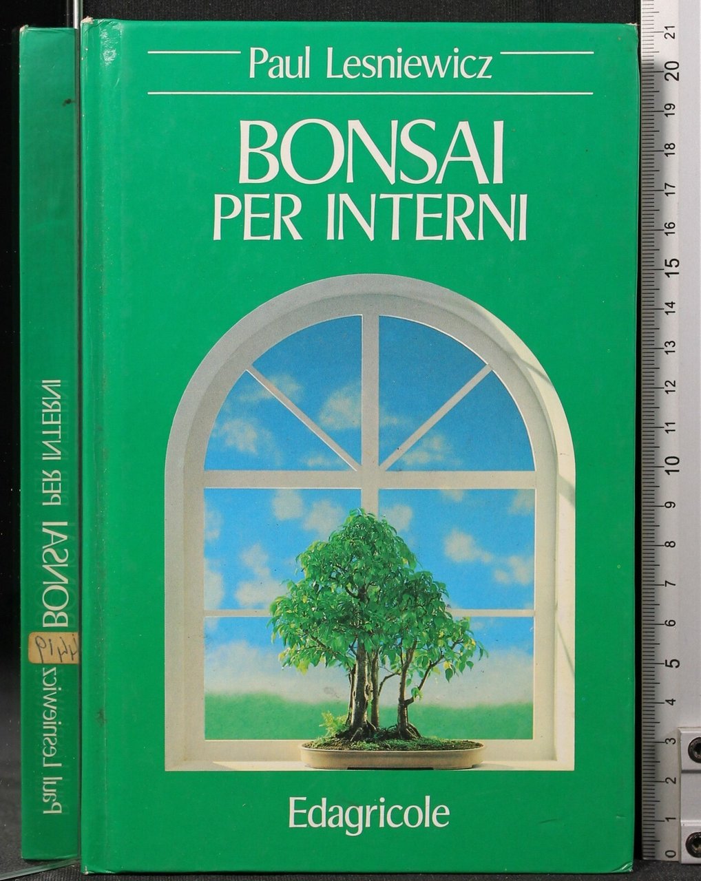 BONSAI PER INTERNI | Immagine principale