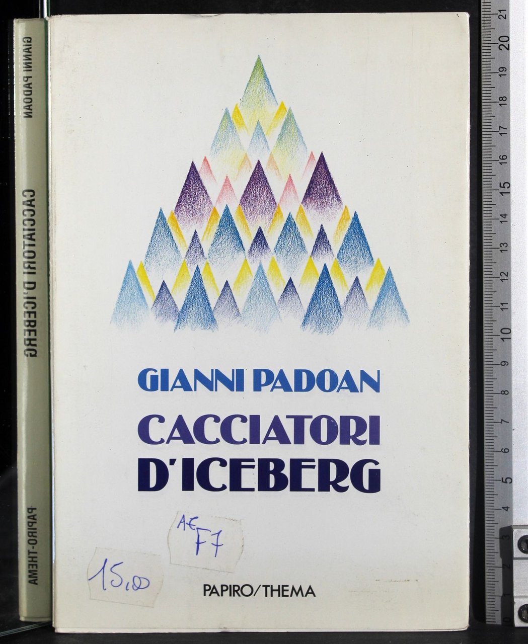 Cacciatori d'iceberg | Immagine principale