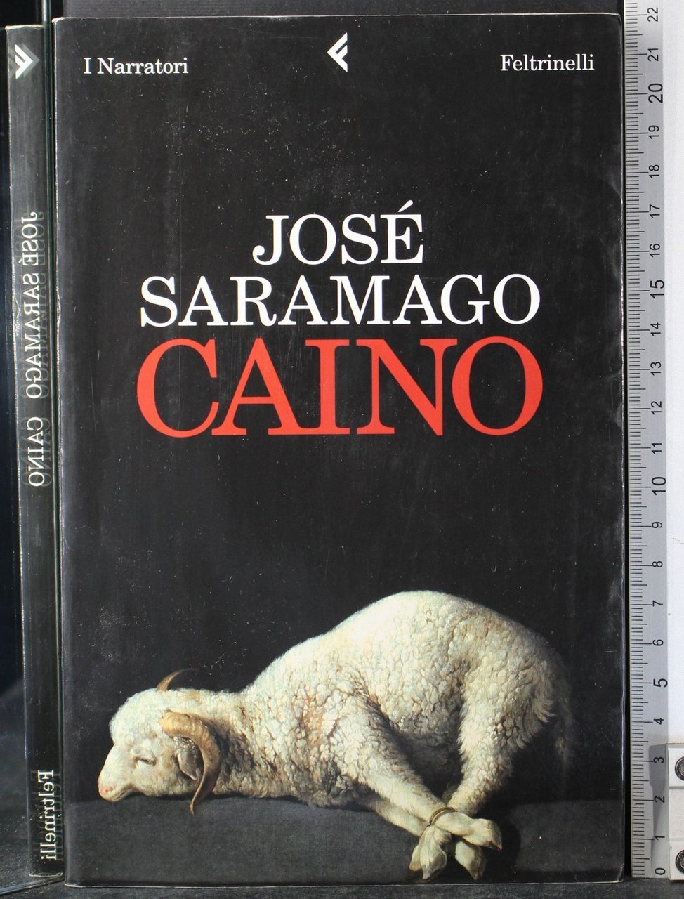 Caino | Immagine principale