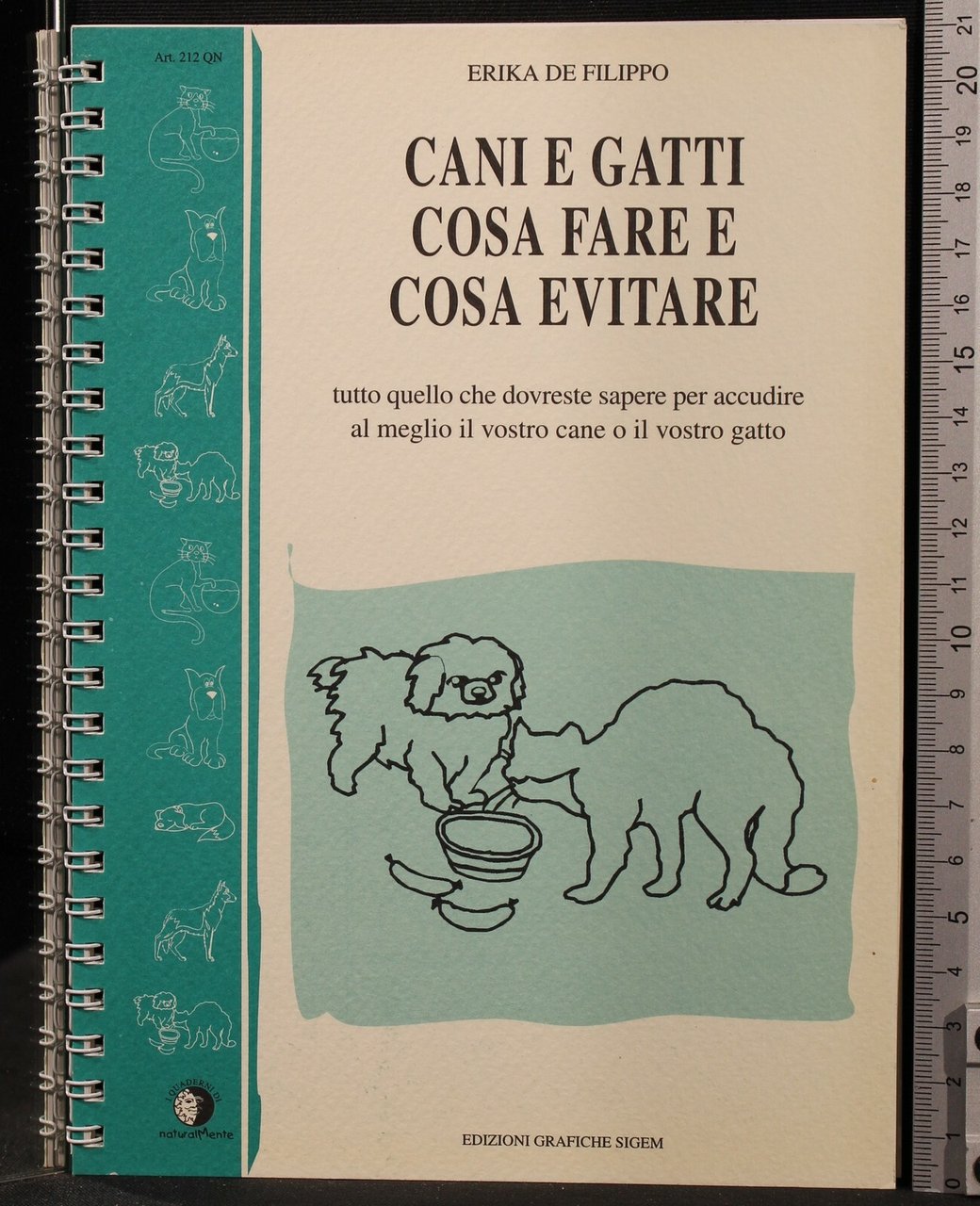 CANI E GATTI COSA FARE E COSA EVITARE | Immagine principale