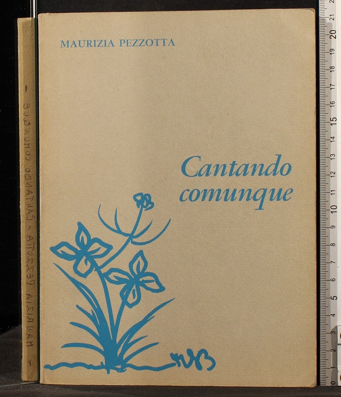 Cantando comunque | Immagine principale