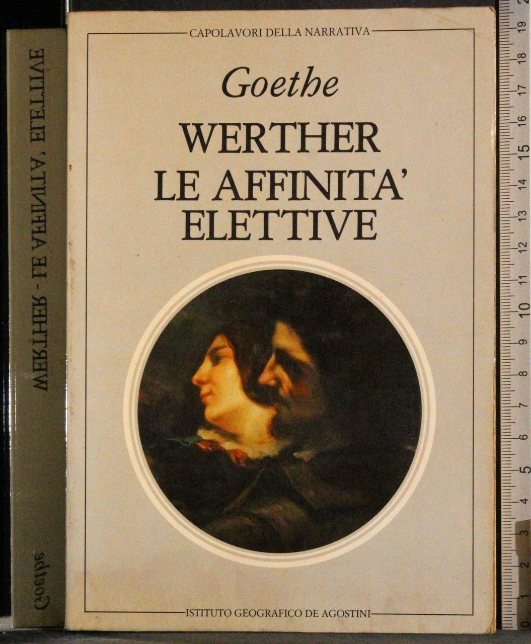 Capolavori della narrativa. Werther. Affinità elettive