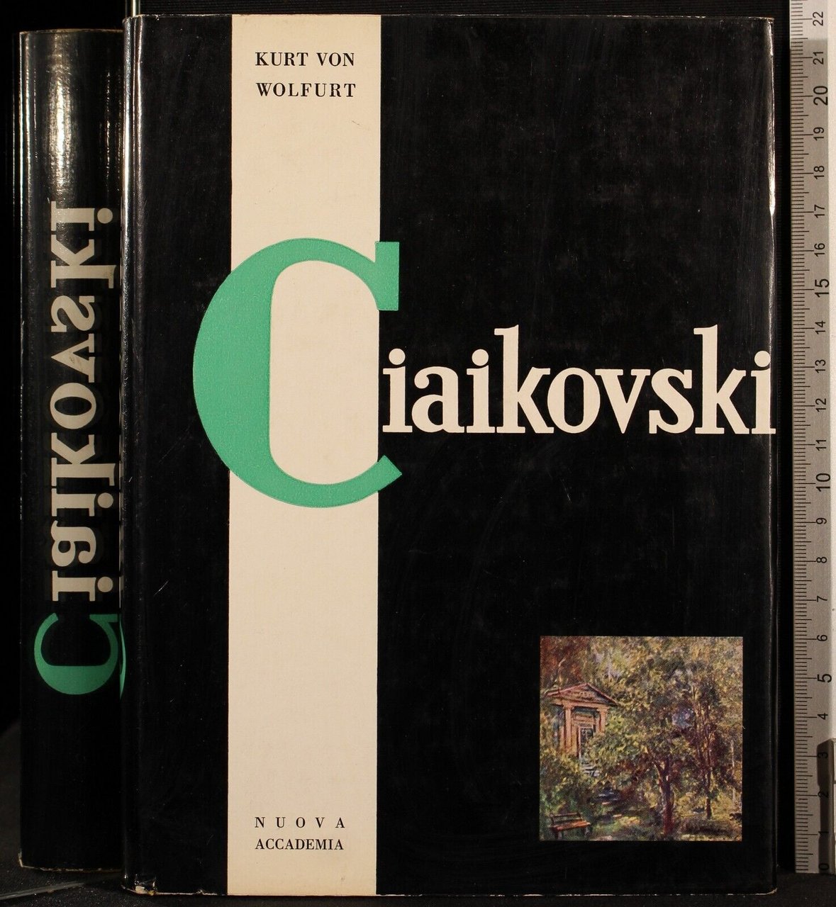 Ciaikovski | Immagine principale