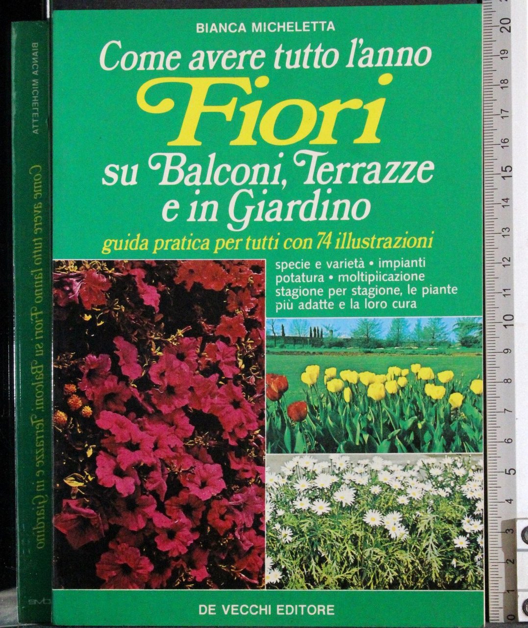 Come avere tutto l'anno Fiori su Balconi Terrazze.