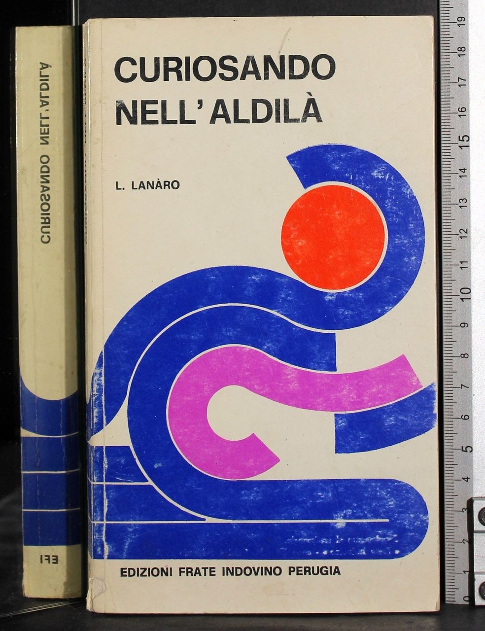 Curiosando nell'aldilà | Immagine principale
