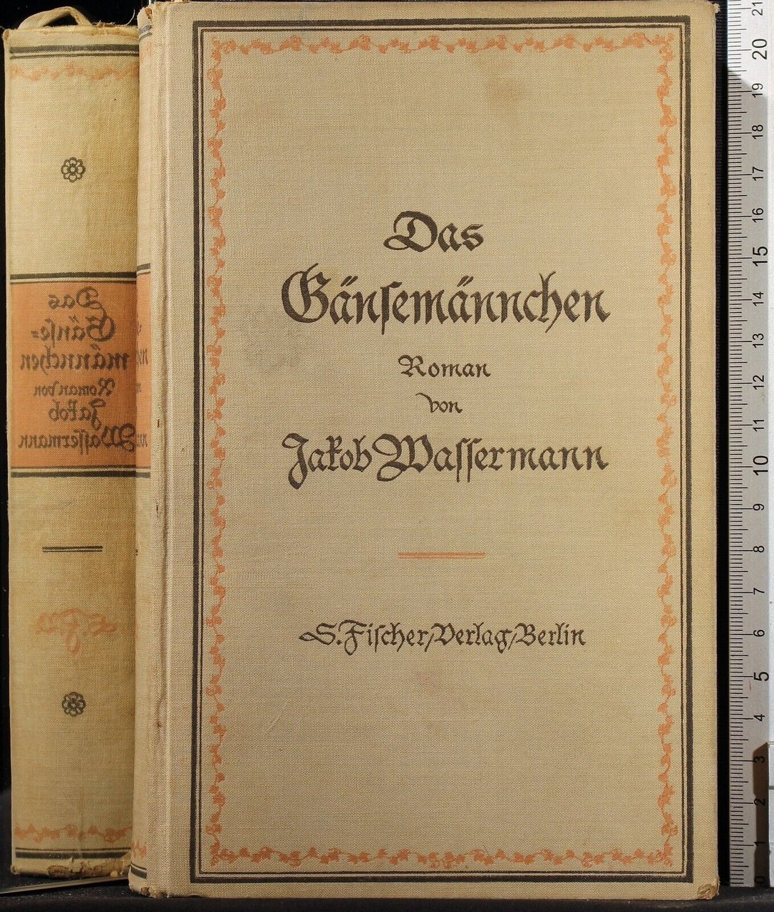 Das Gansemannchen | Immagine principale