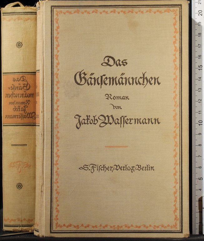 Das Gansemannchen | Immagine Gallery 2