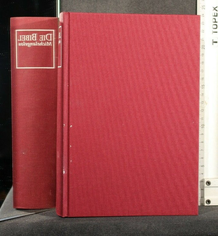 DIE BIBEL MICHELANGELOS | Immagine Gallery 3