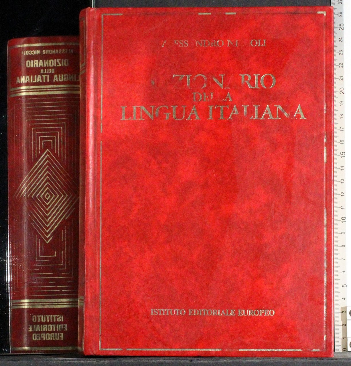 Dizionario della lingua Italiana