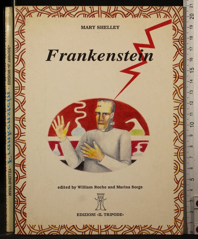 Frankenstein | Immagine Gallery 2