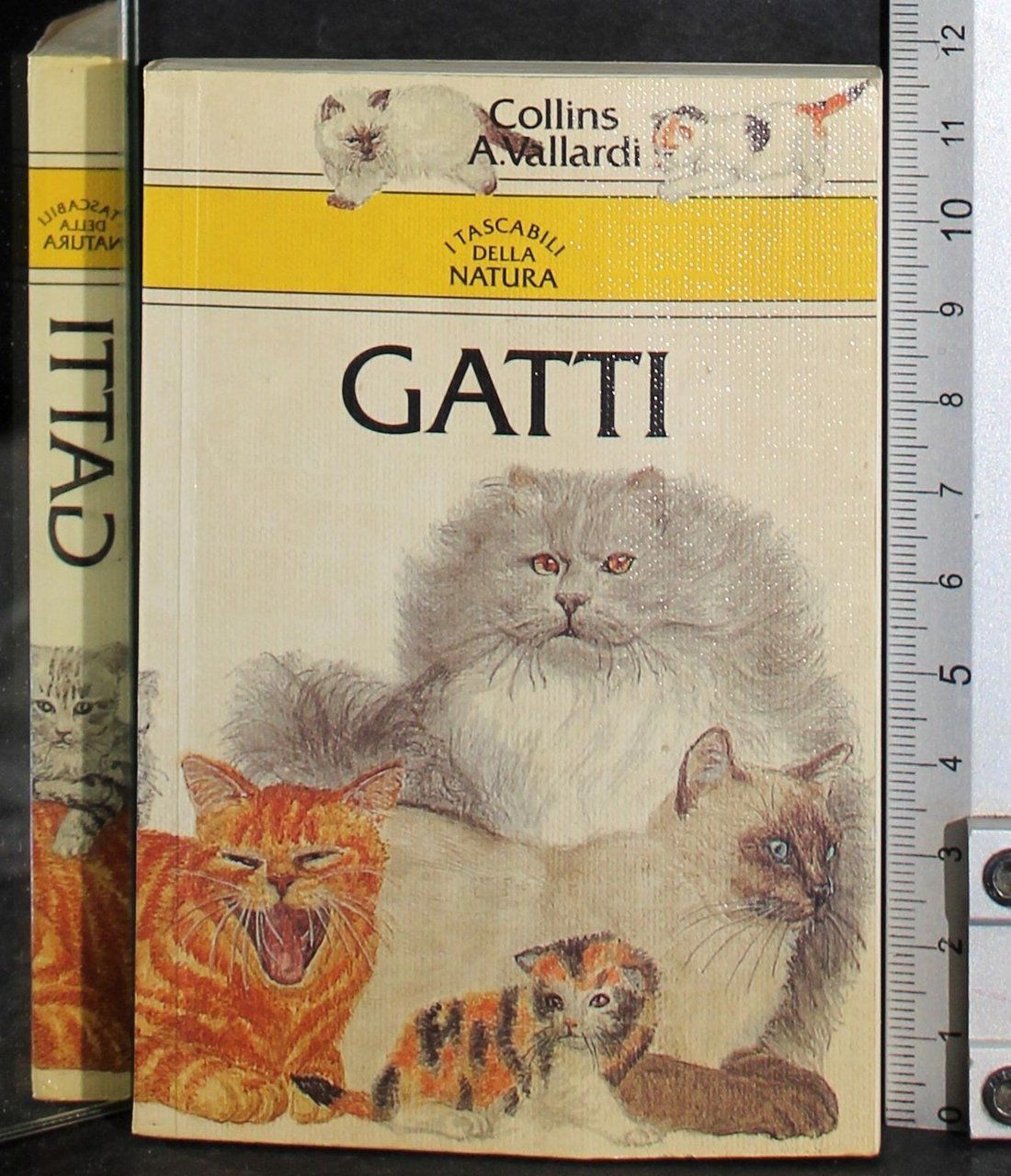 Gatti. I tascabili dalla natura | Immagine principale