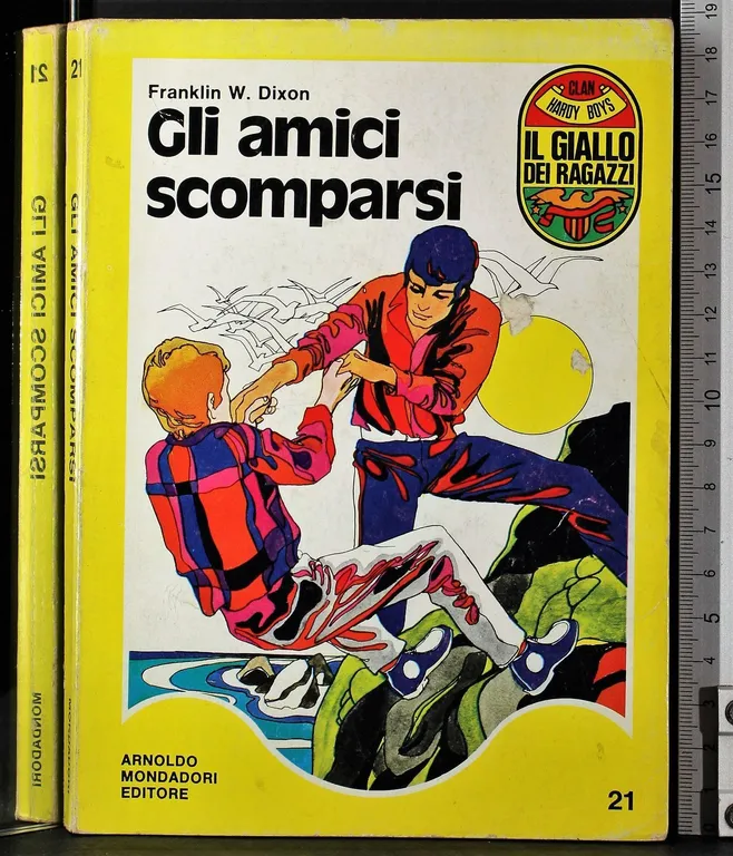 Gli amici scomparsi