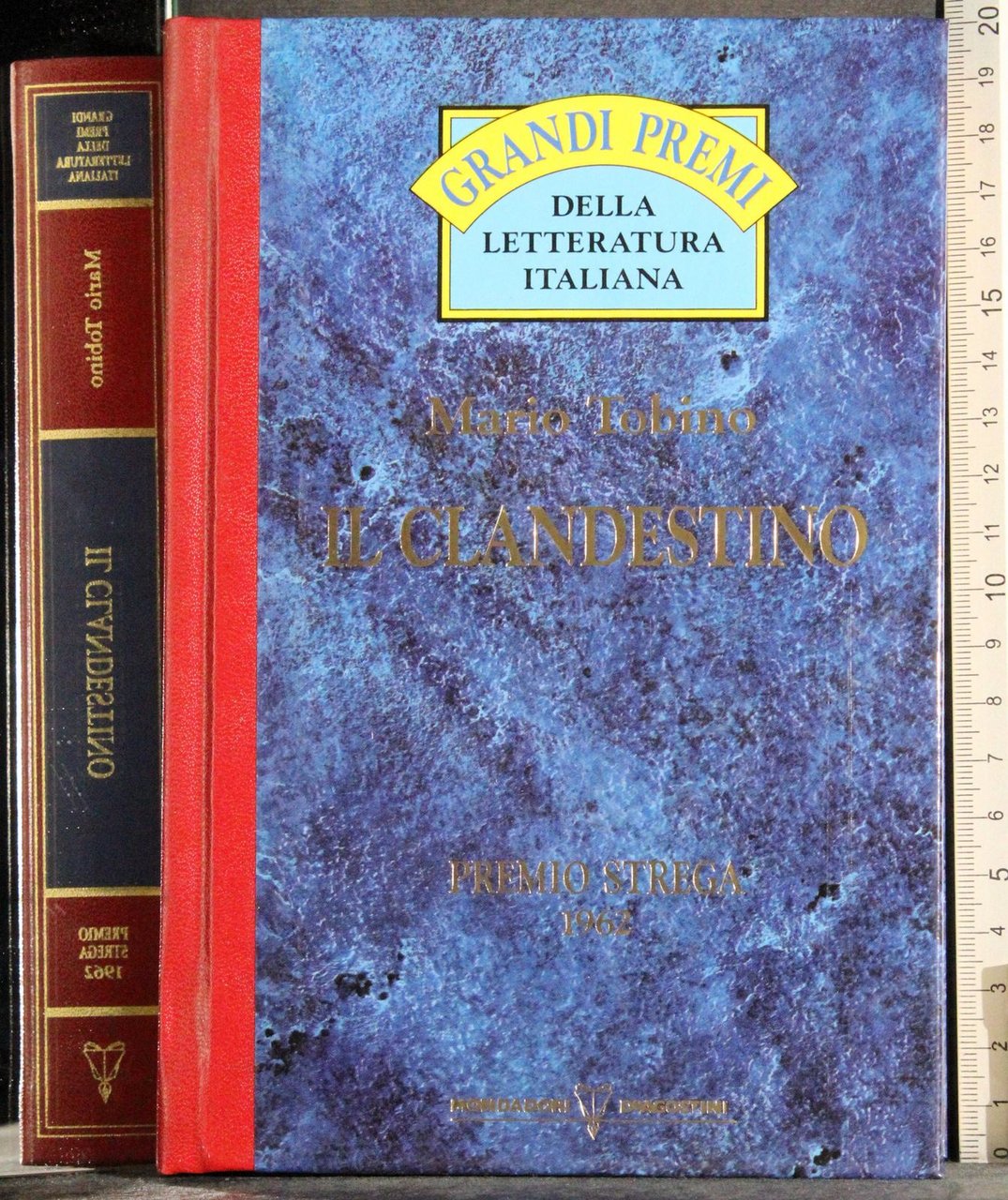 Grandi premi letteratura italiana.Il clandestino