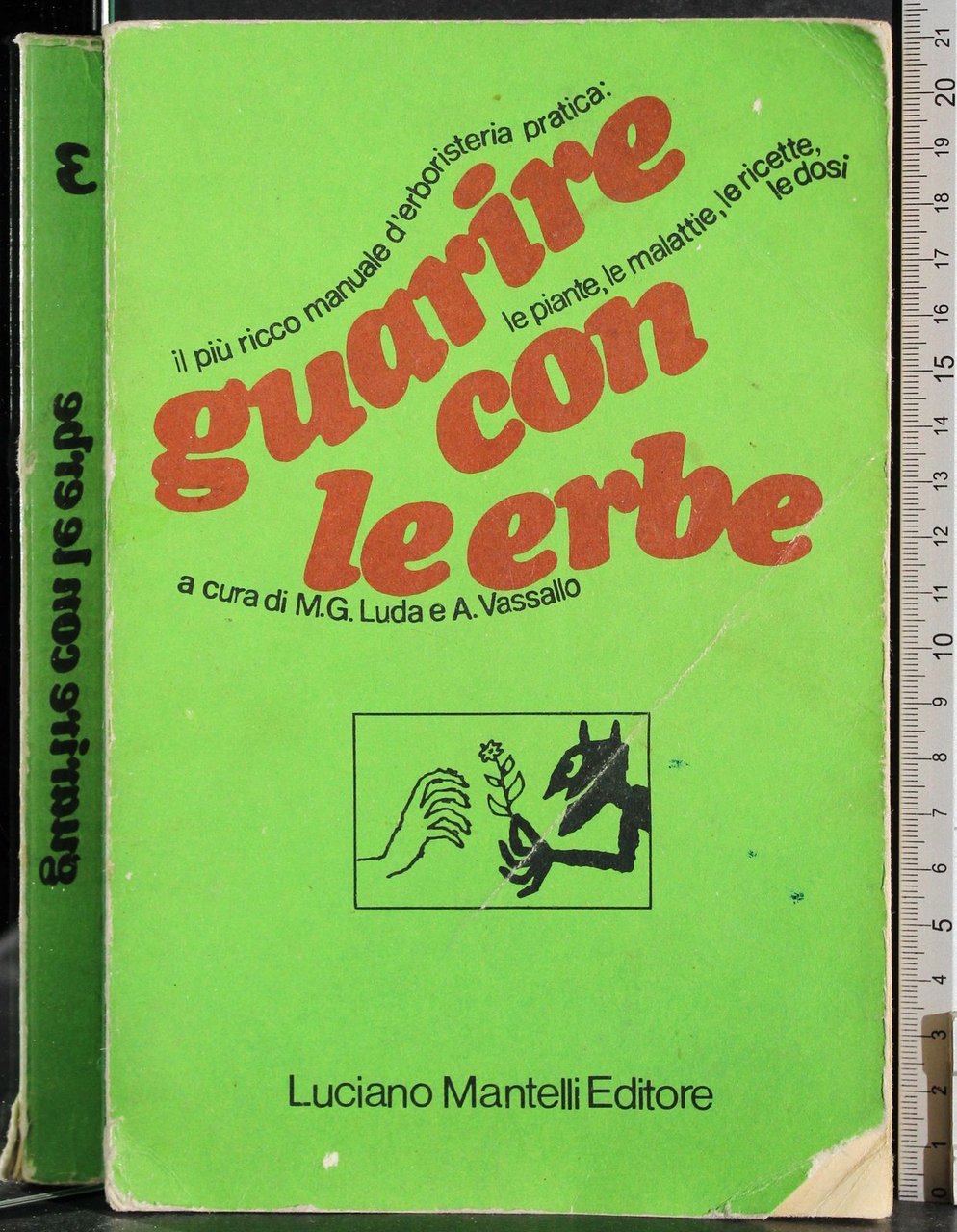 Guarire con le erbe 3 | Immagine principale