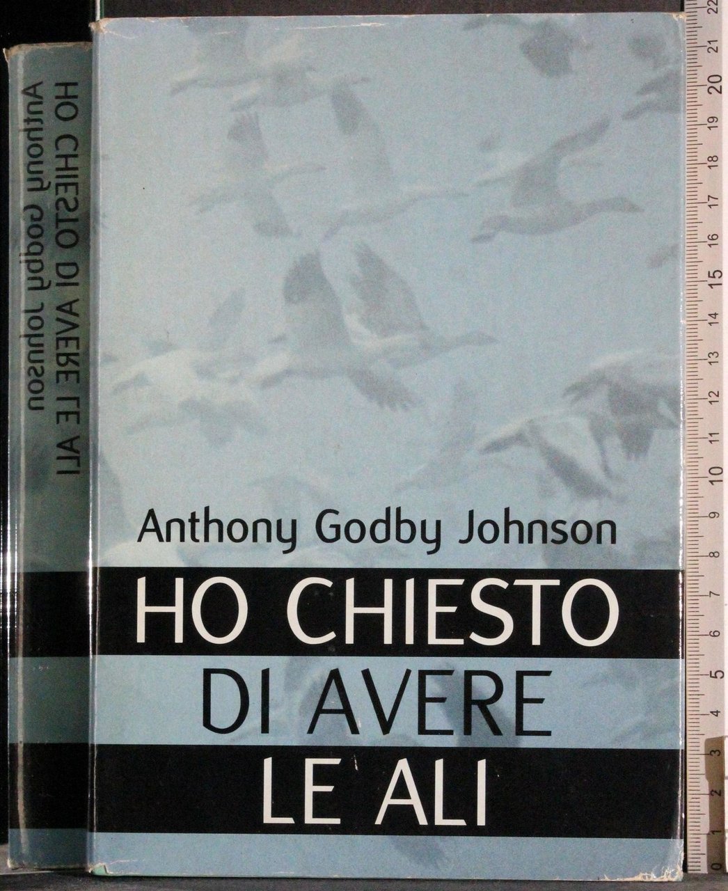 Ho chiesto di avere le ali