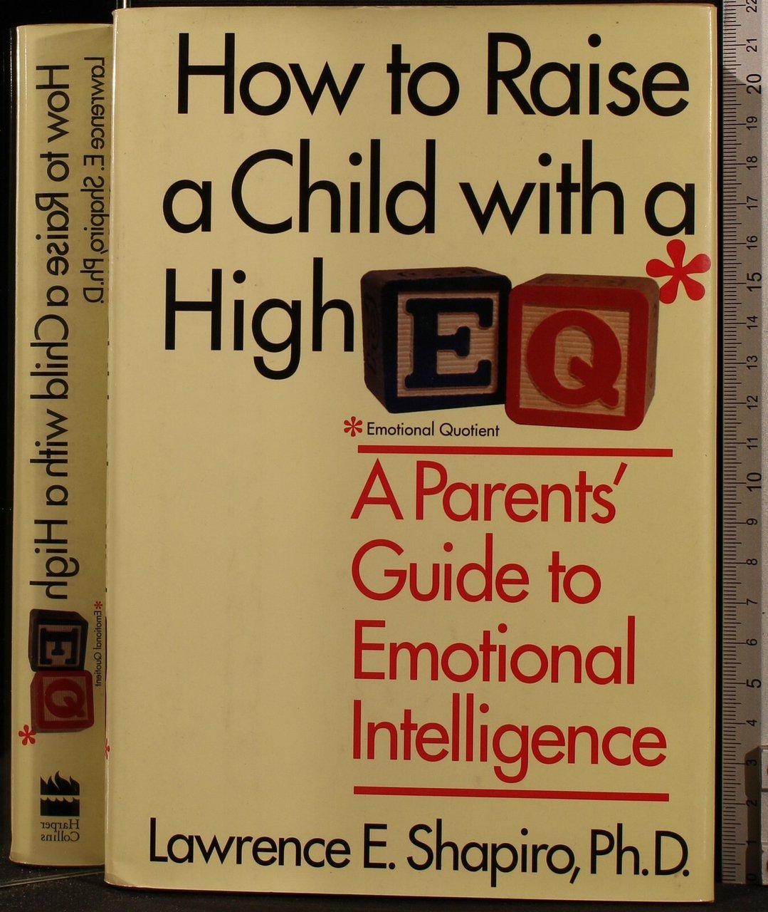 HOW TO RAISE A CHILD WITH A HIGH | Immagine principale