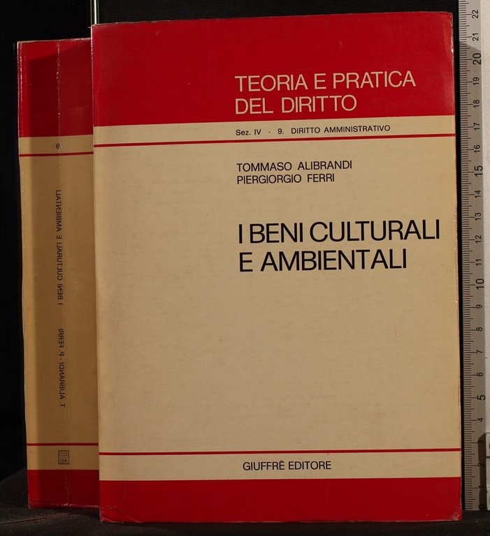 I beni culturali e ambientali | Immagine Gallery 2