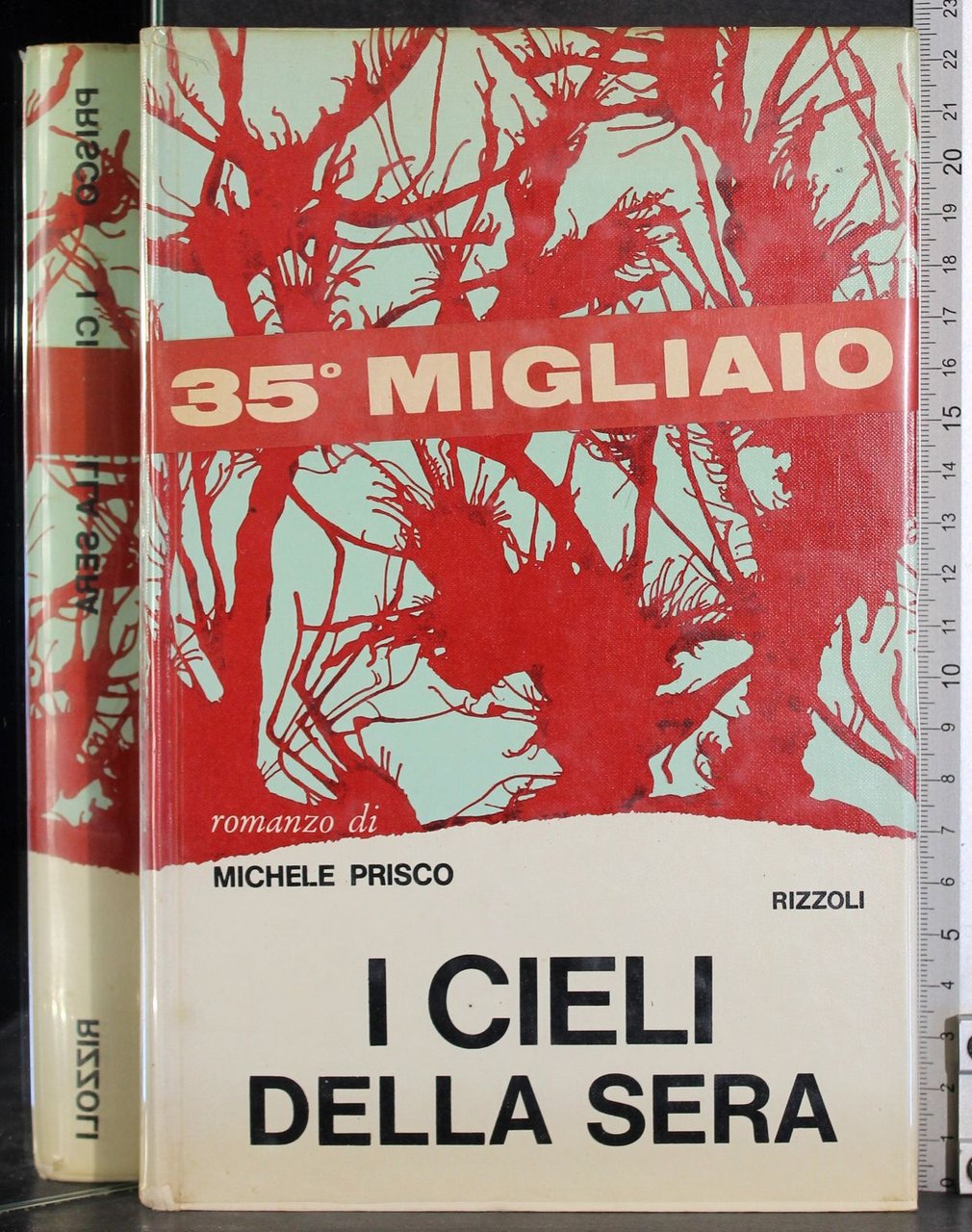 I cieli della sera | Immagine principale