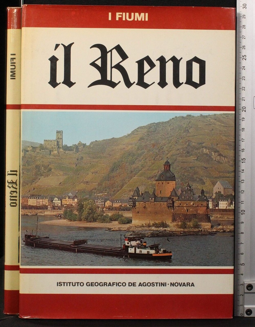 I Fiumi. Il Reno | Immagine principale
