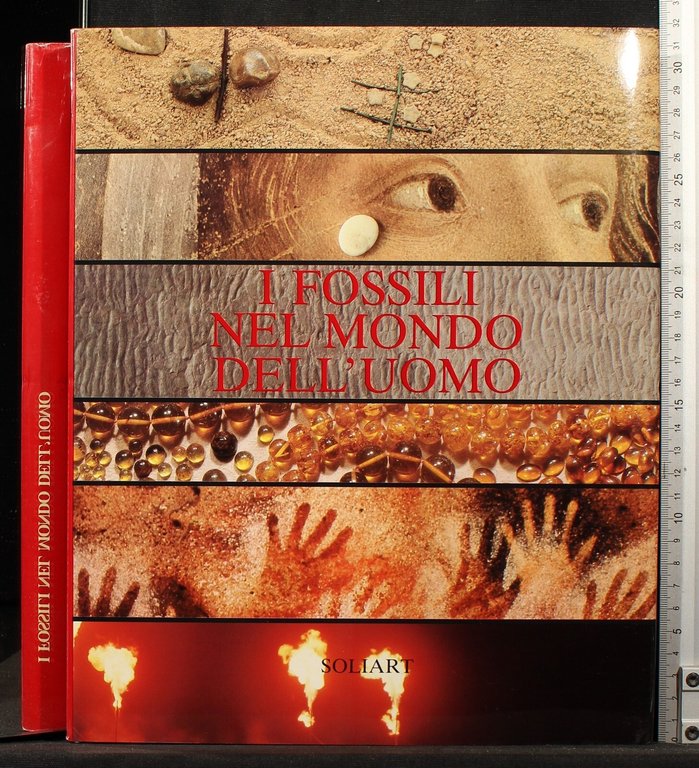 I fossili nel mondo dell'uomo | Immagine Gallery 2