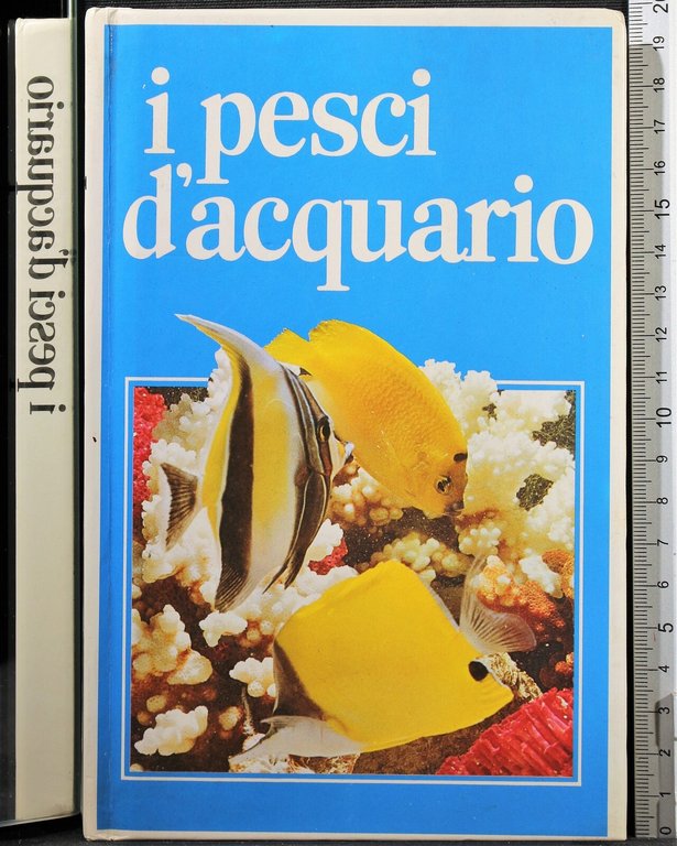 I pesci d'acquario | Immagine Gallery 2