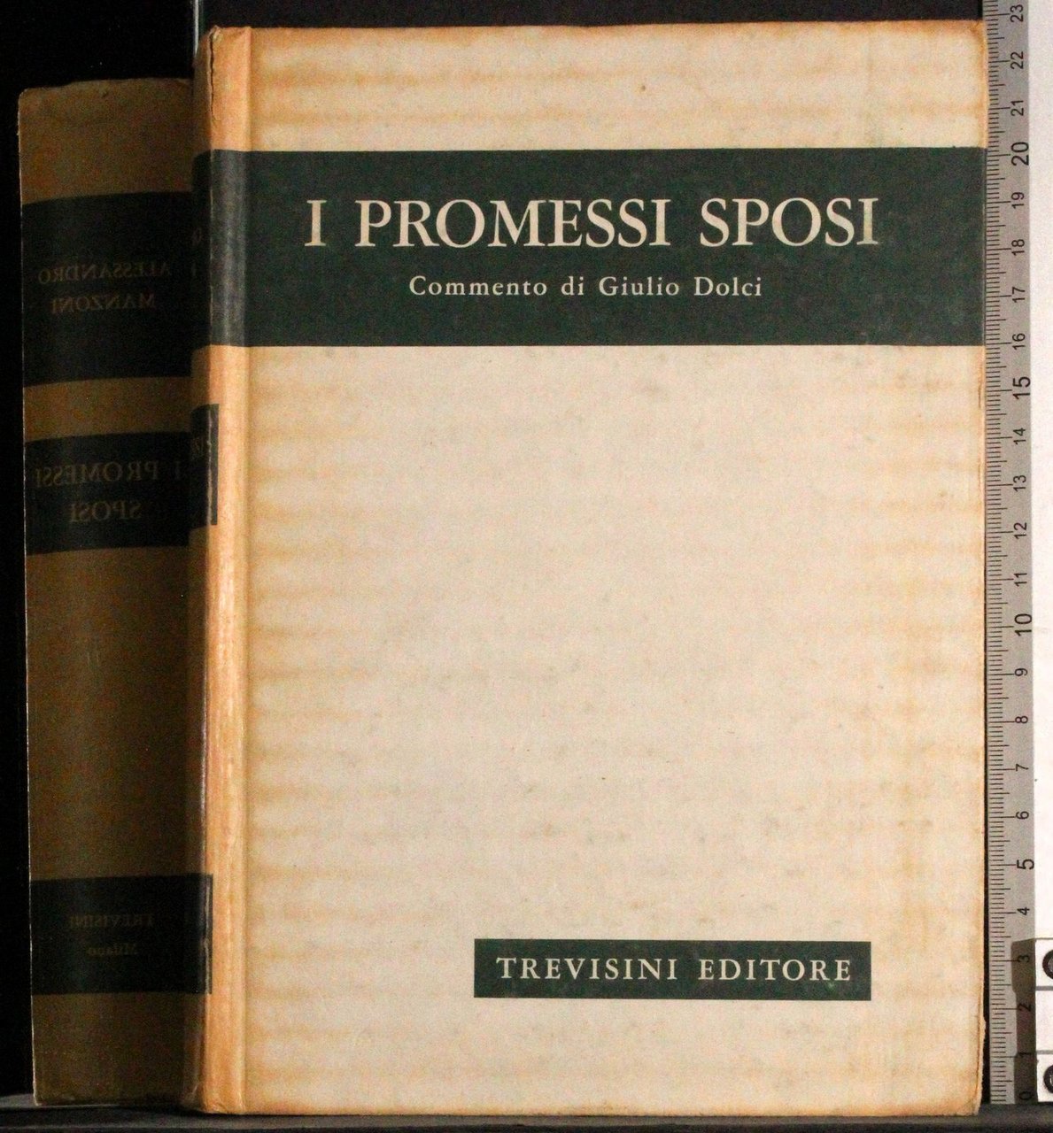 I promessi sposi