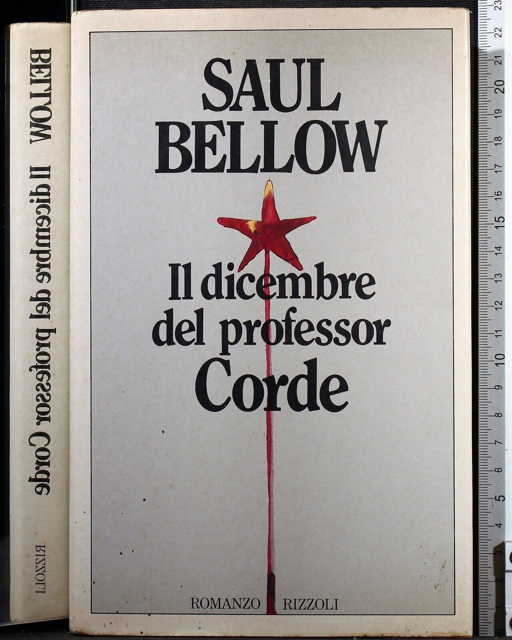 Il dicembre del professor Corde | Immagine principale