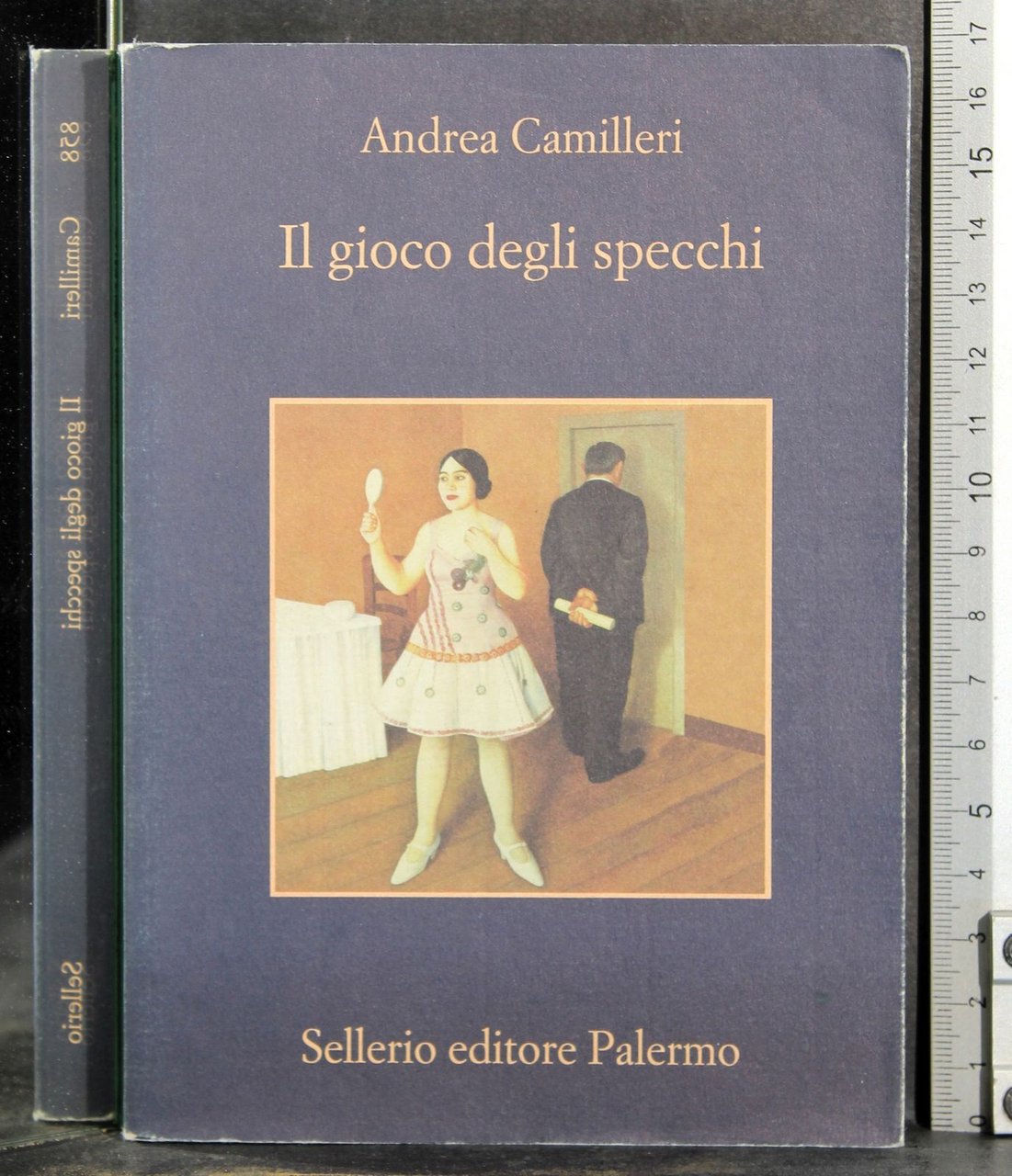 Il gioco degli specchi | Immagine principale