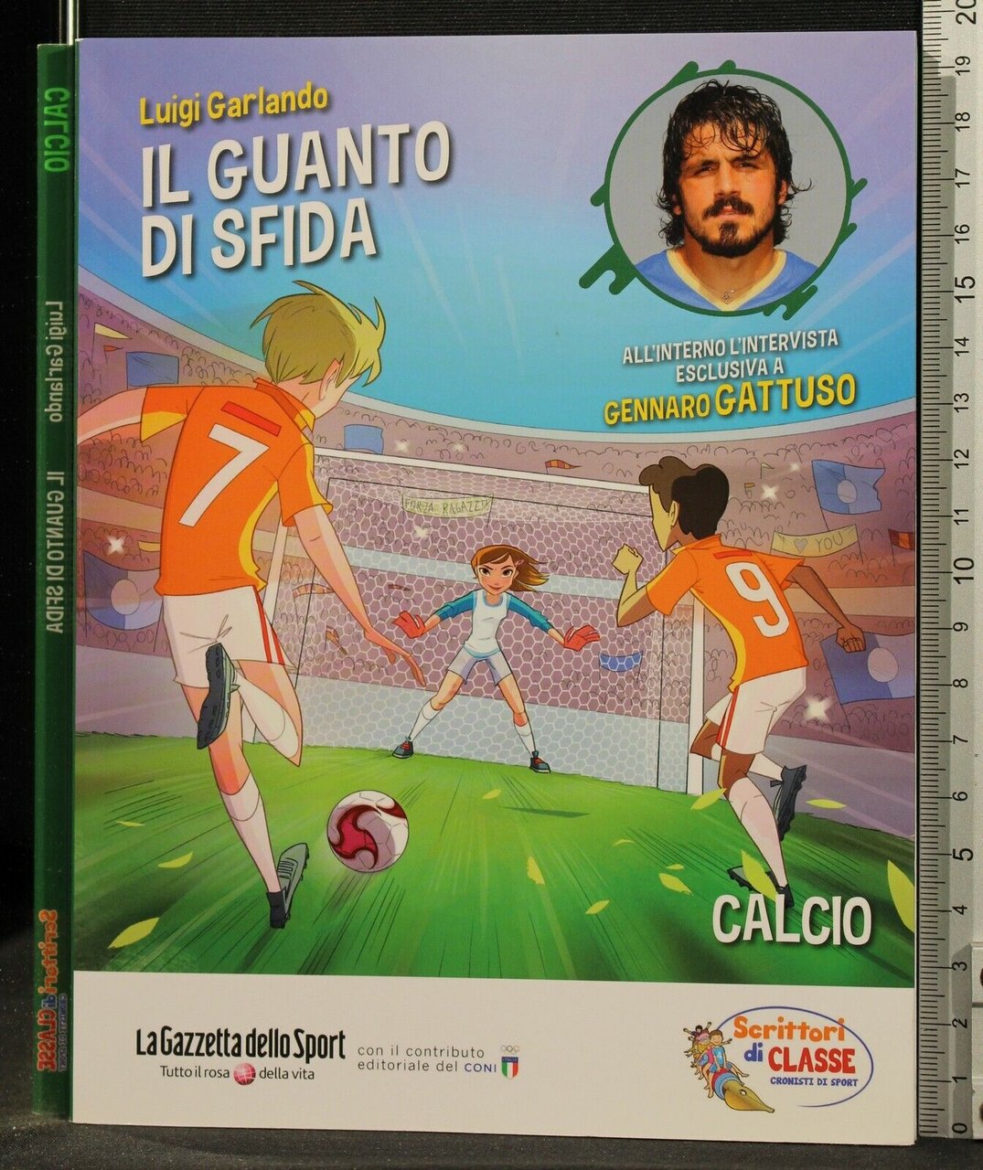 IL GUANTO DI SFIDA