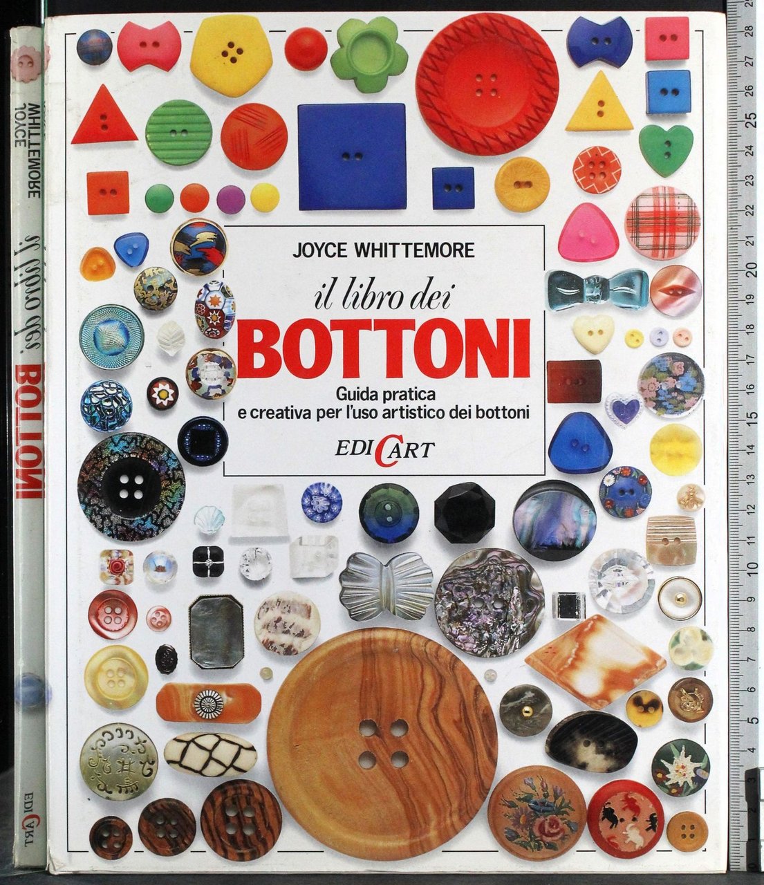 Il libro dei bottoni | Immagine principale