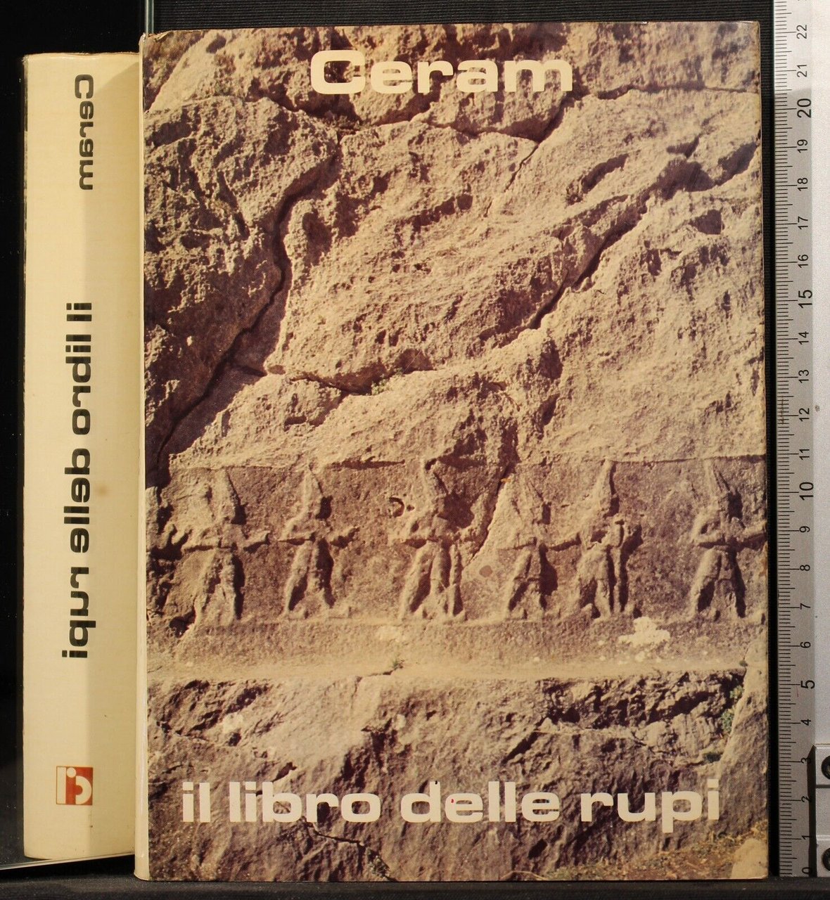 Il libro delle rupi | Immagine principale