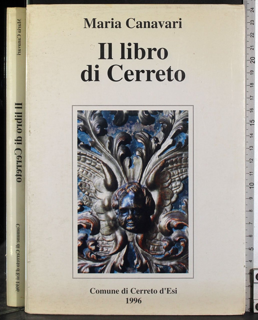 Il libro di Cerreto | Immagine principale