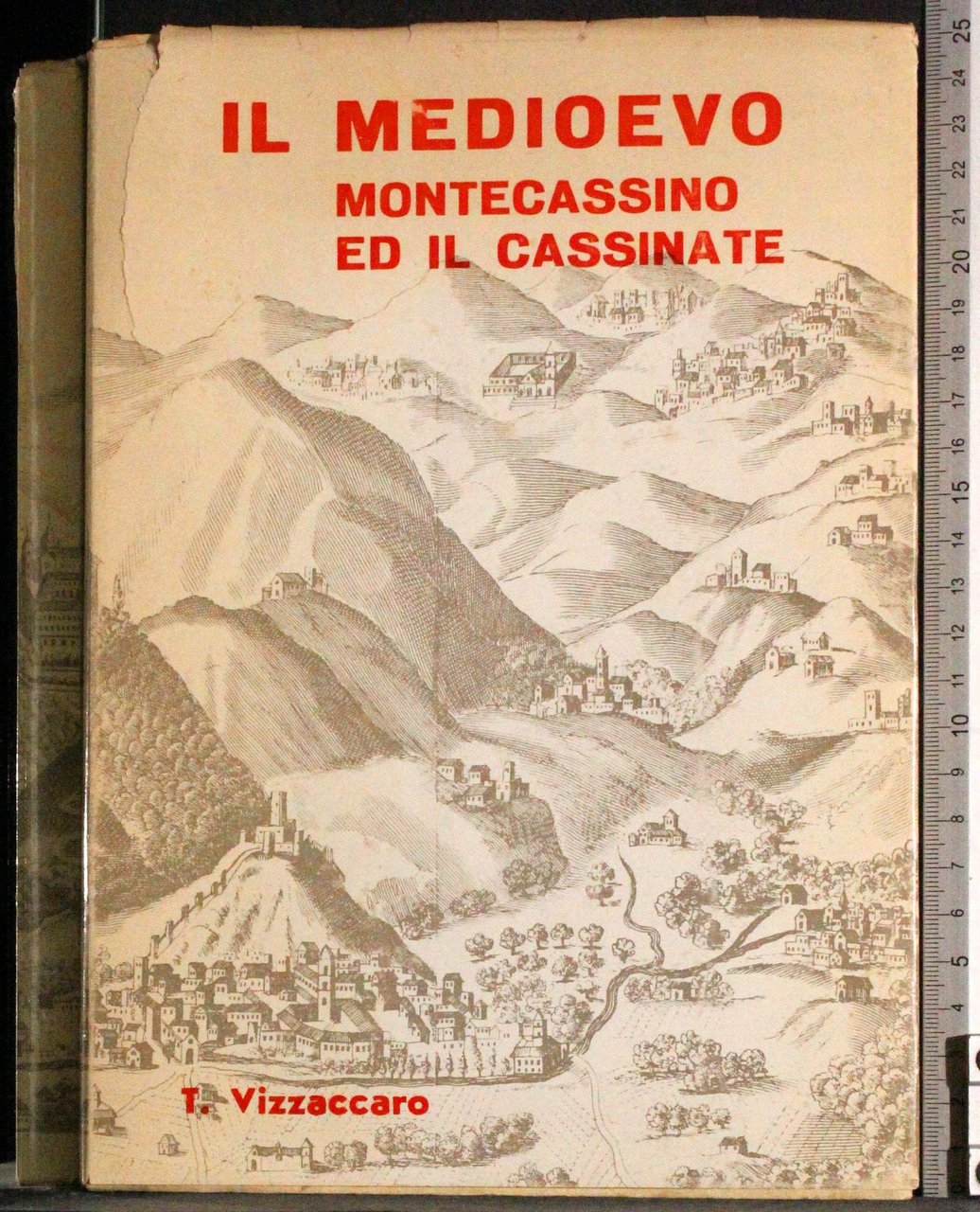 Il Medioevo Montecassino ed il cassinate