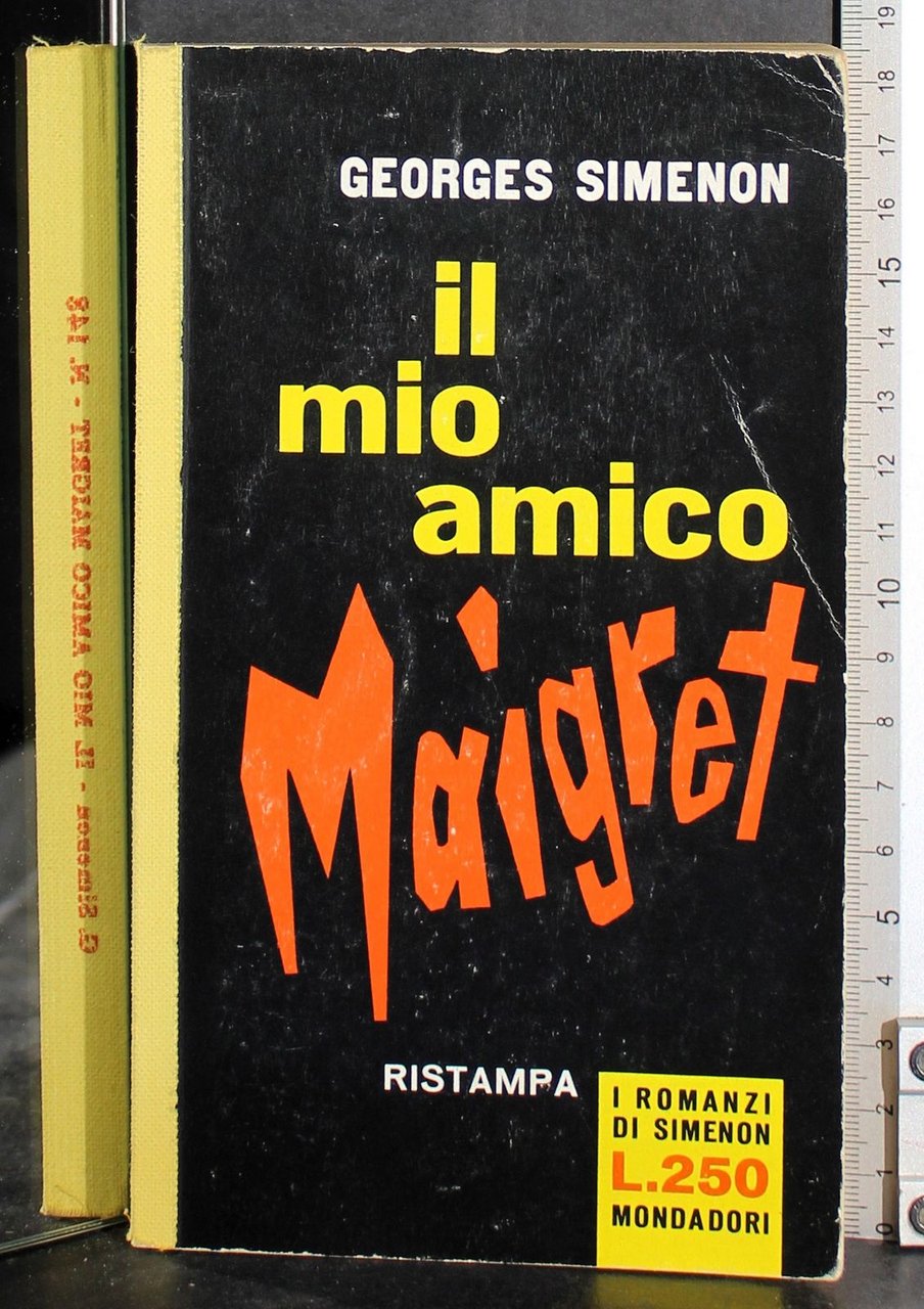 Il mio amico Maigret | Immagine principale