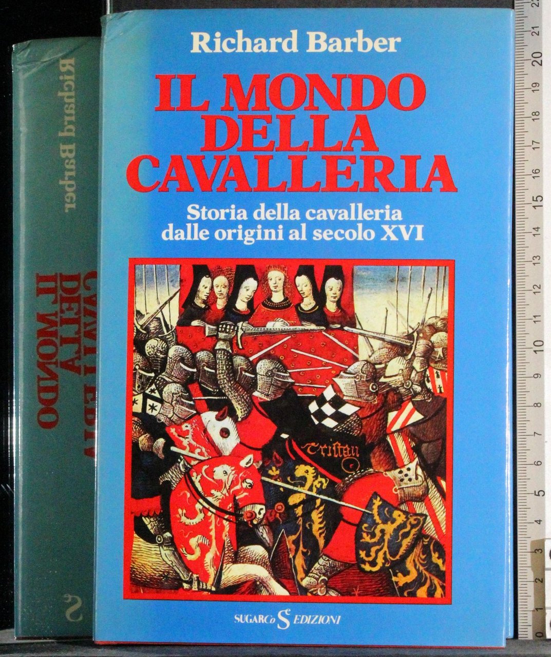 Il mondo della cavalleria