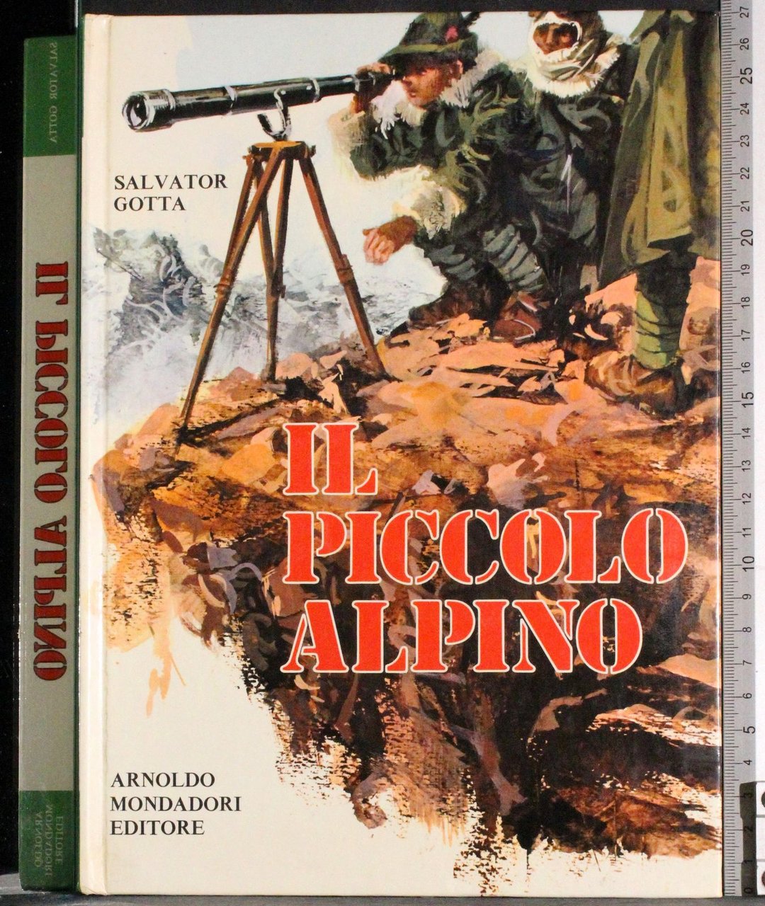 Il piccolo Alpino