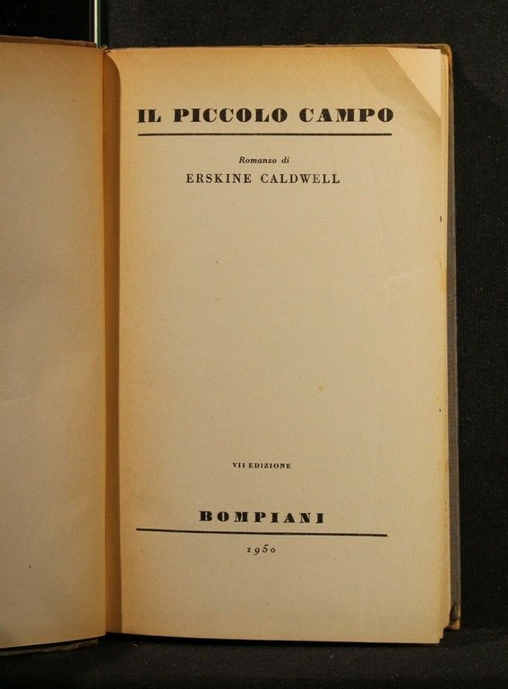IL PICCOLO CAMPO | Immagine Gallery 3