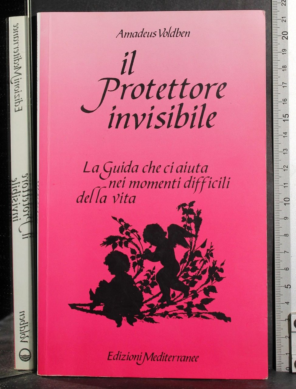 Il Protettore invisibile | Immagine principale