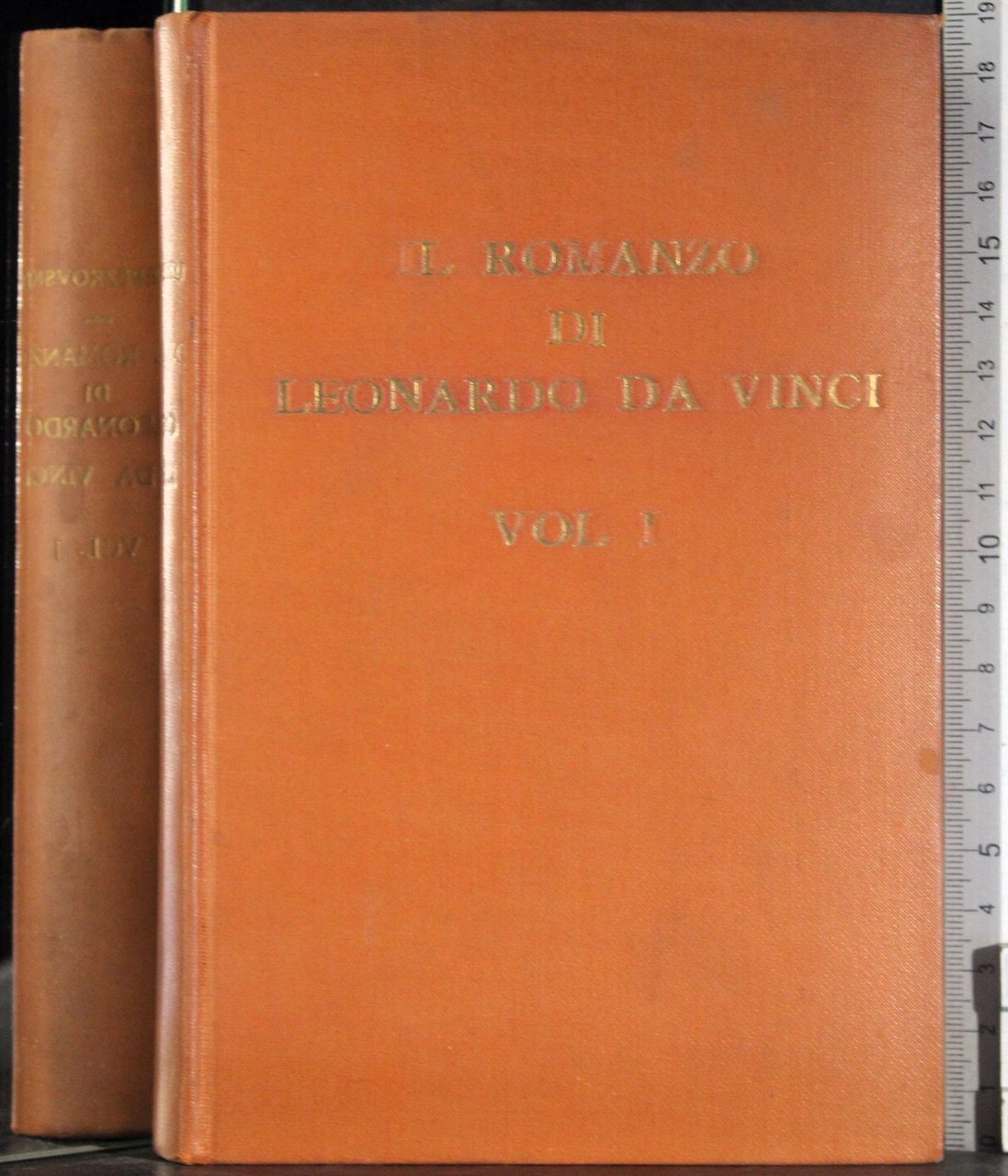 Il romanzo di Leonardo Da Vinci. Vol 1 | Immagine principale