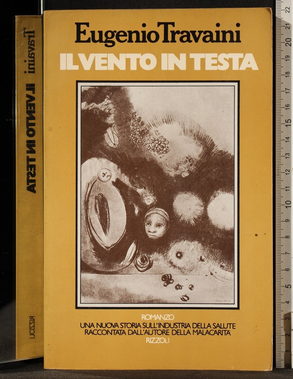 Il vento in testa | Immagine principale