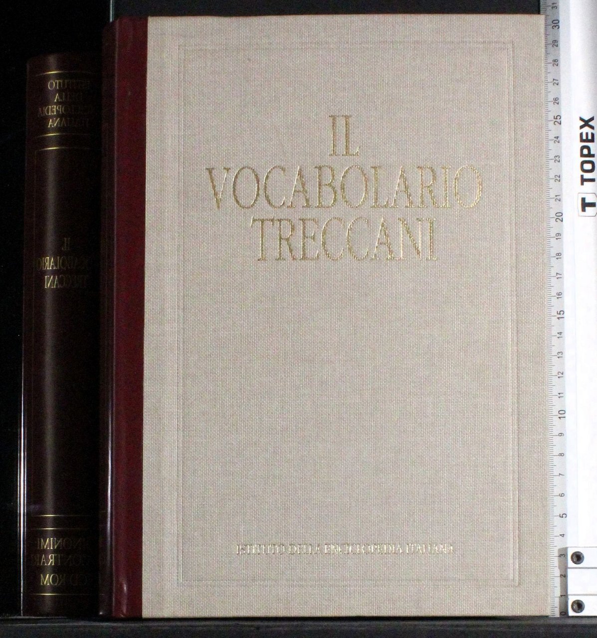 Il vocabolario Treccani. Sinonimi e contrari. CD Rom