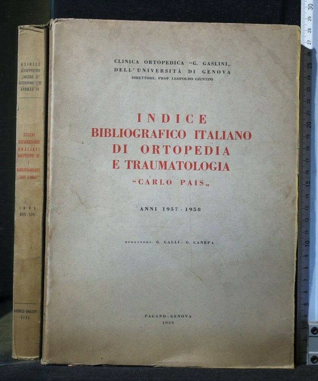 INDICE BIBLIOGRAFICO ITALIANO DI ORTOPEDIA E TRAUMATOLOGIA | Immagine principale