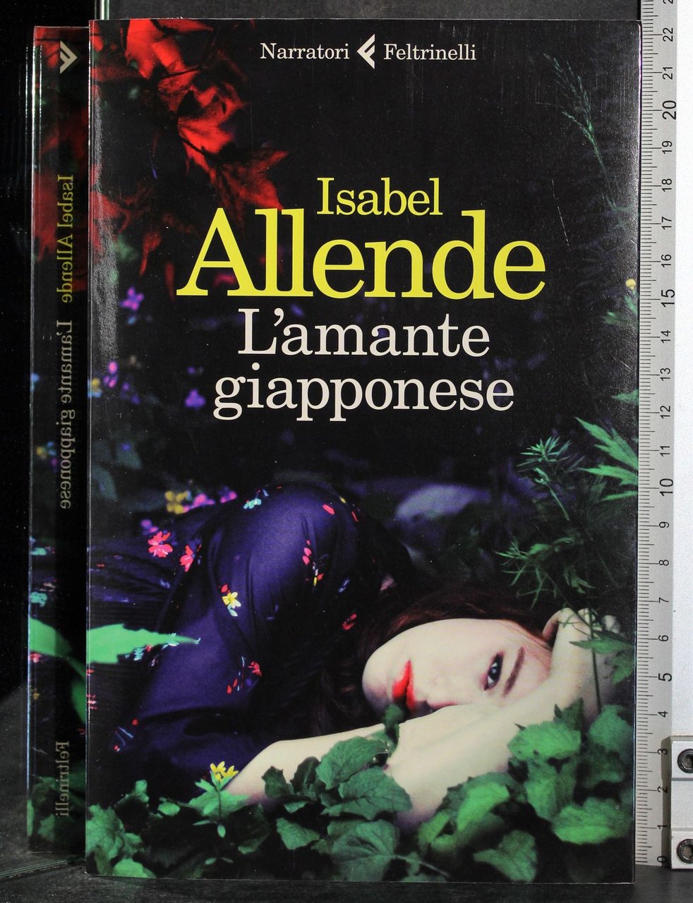 L'amante giapponese | Immagine principale