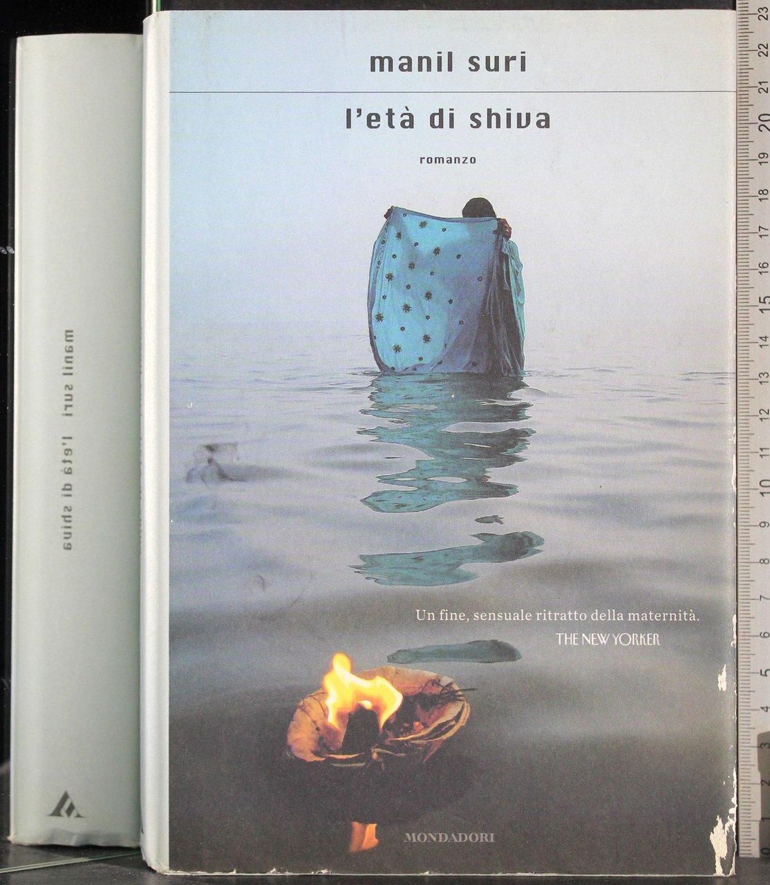 L'età di Shiva | Immagine principale