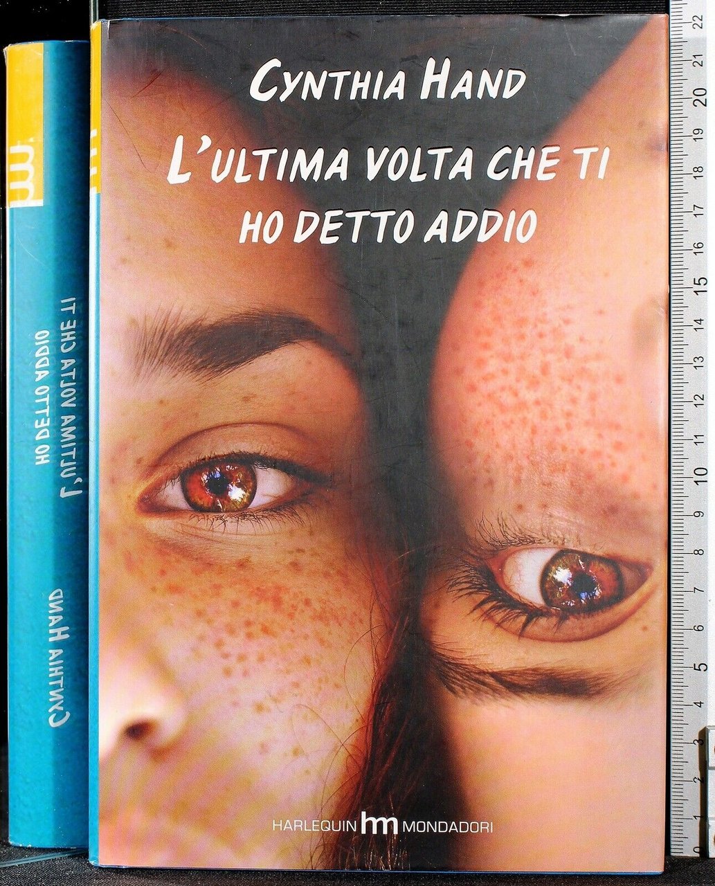 L'ultima volta che ti ho detto addio | Immagine principale